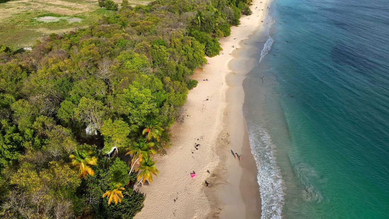 Vignette du programme télé Trésors des Petites Antilles
