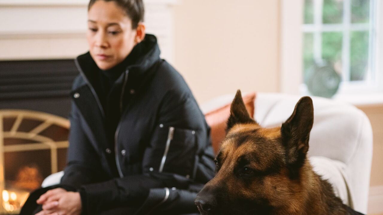 Vignette du programme télé Hudson et Rex