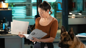 Vignette du programme télé Hudson et Rex (Vols sans effraction) S7 (8/16)