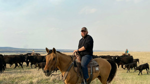 Vignette du programme télé On les appelle cowboys
