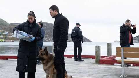 Vignette du programme télé Hudson et Rex
