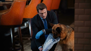 Vignette du programme télé Hudson et Rex (Le maître et l'élève) S2 (18/19)