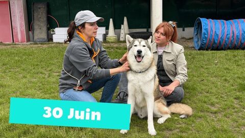 Vignette du programme télé Okoo-koo