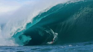 Vignette du programme télé Surf, le feu sacré