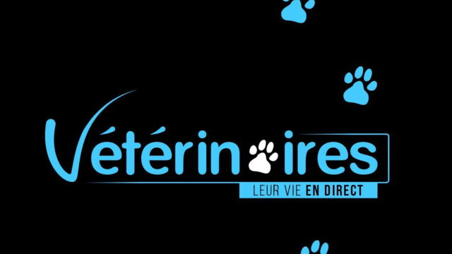 Vignette du programme télé Vétérinaires, leur vie en direct