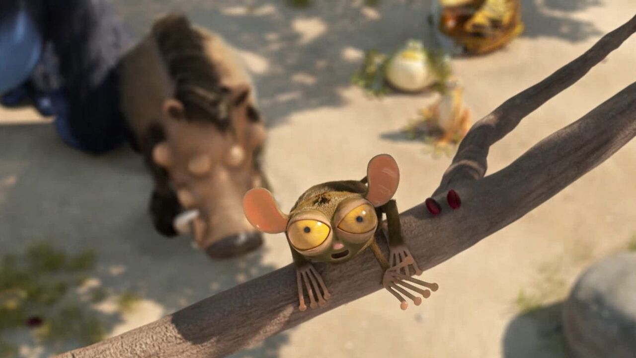 Vignette du programme télé Les as de la jungle : en direct