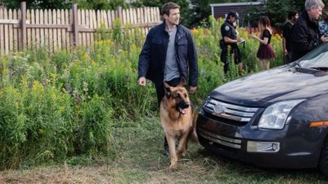 Vignette du programme télé Hudson et Rex - Saison 3