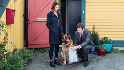 Vignette du programme télé Hudson et Rex