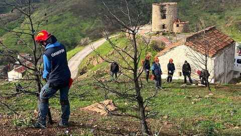 Vignette du programme télé En Grèce, les rêves brisés après les incendies