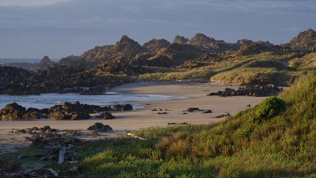 Vignette du programme télé La Tasmanie sauvage