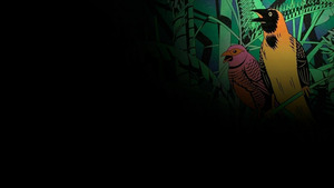 Vignette du programme télé PLL