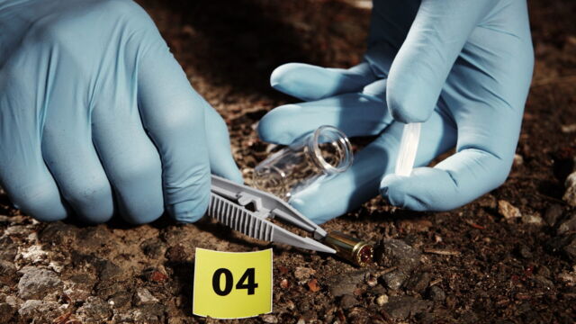 Vignette du programme télé Crimes