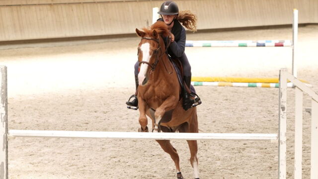 Vignette du programme télé Au galop !