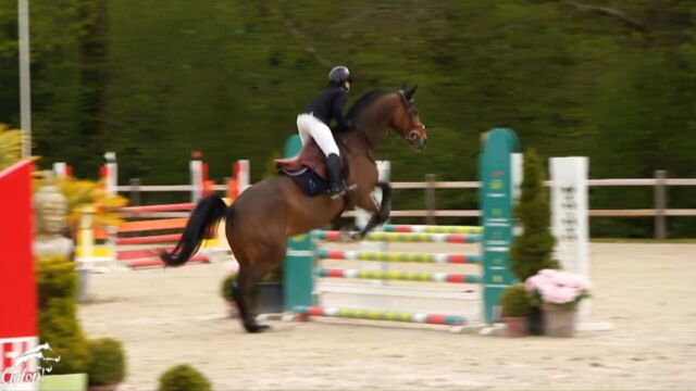 Vignette du programme télé Au galop !