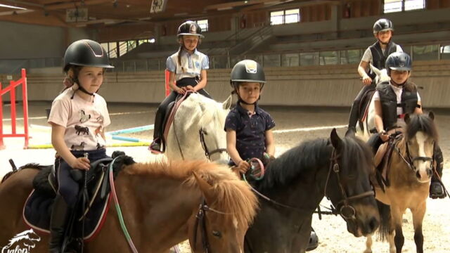 Vignette du programme télé Au galop !