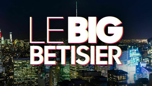Vignette du programme télé Le big bêtisier S8