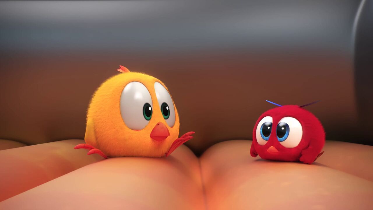 Vignette du programme télé T'es où Chicky ?