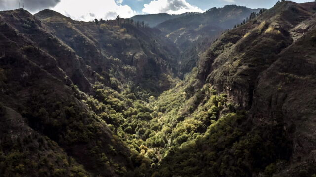Vignette du programme télé Canaries, les îles-volcans