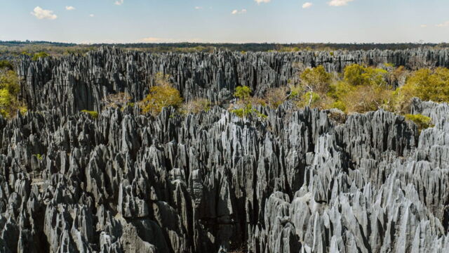 Vignette du programme télé Madagascar, terre d'espoir et de contrastes