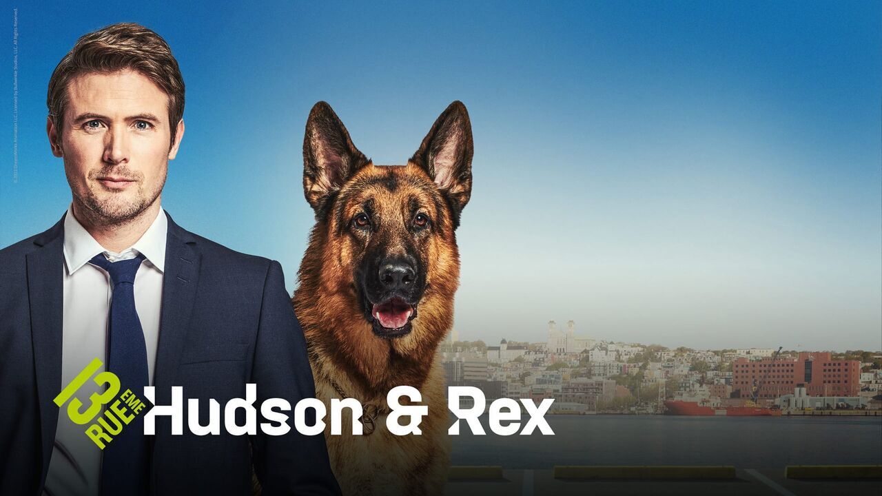 Vignette du programme télé Hudson et Rex