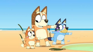 Vignette du programme télé Bluey (Le bâton oiseau) S3 (41/50)