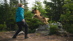 Vignette du programme télé Hudson et Rex (Traque en forêt) S8 (9/16)