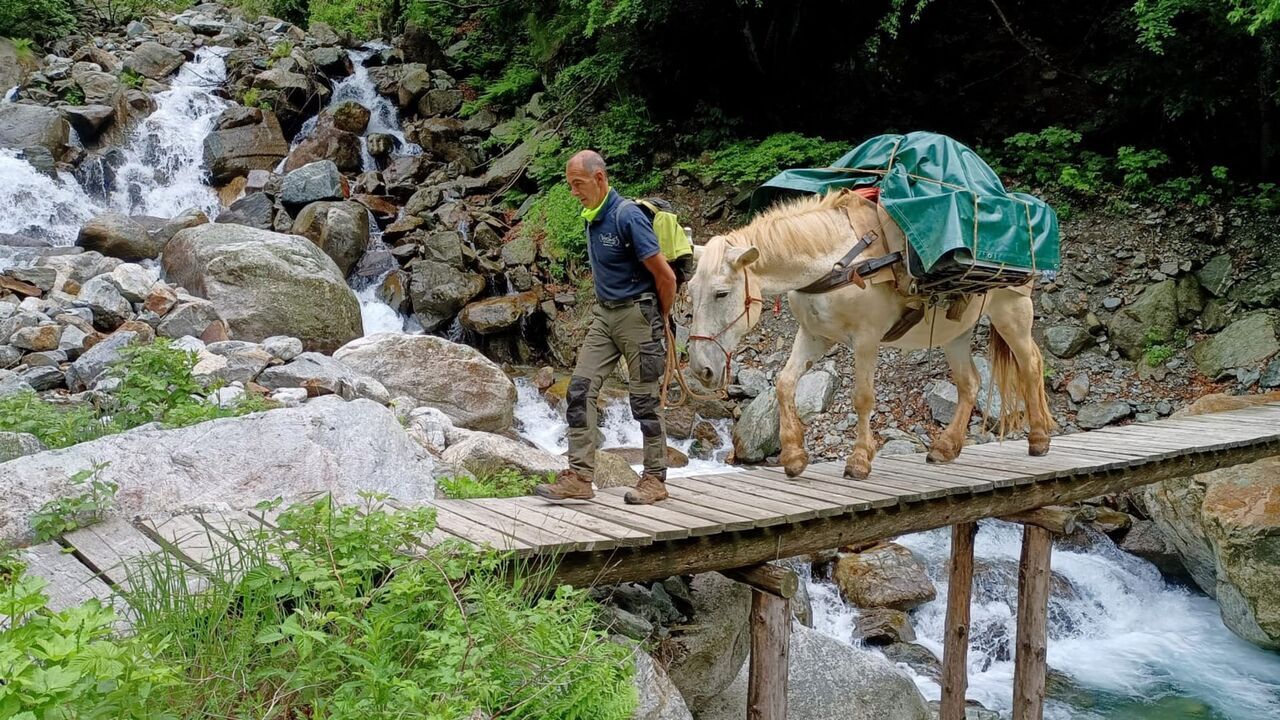 Vignette du programme télé Le mulet en montagne, une alternative