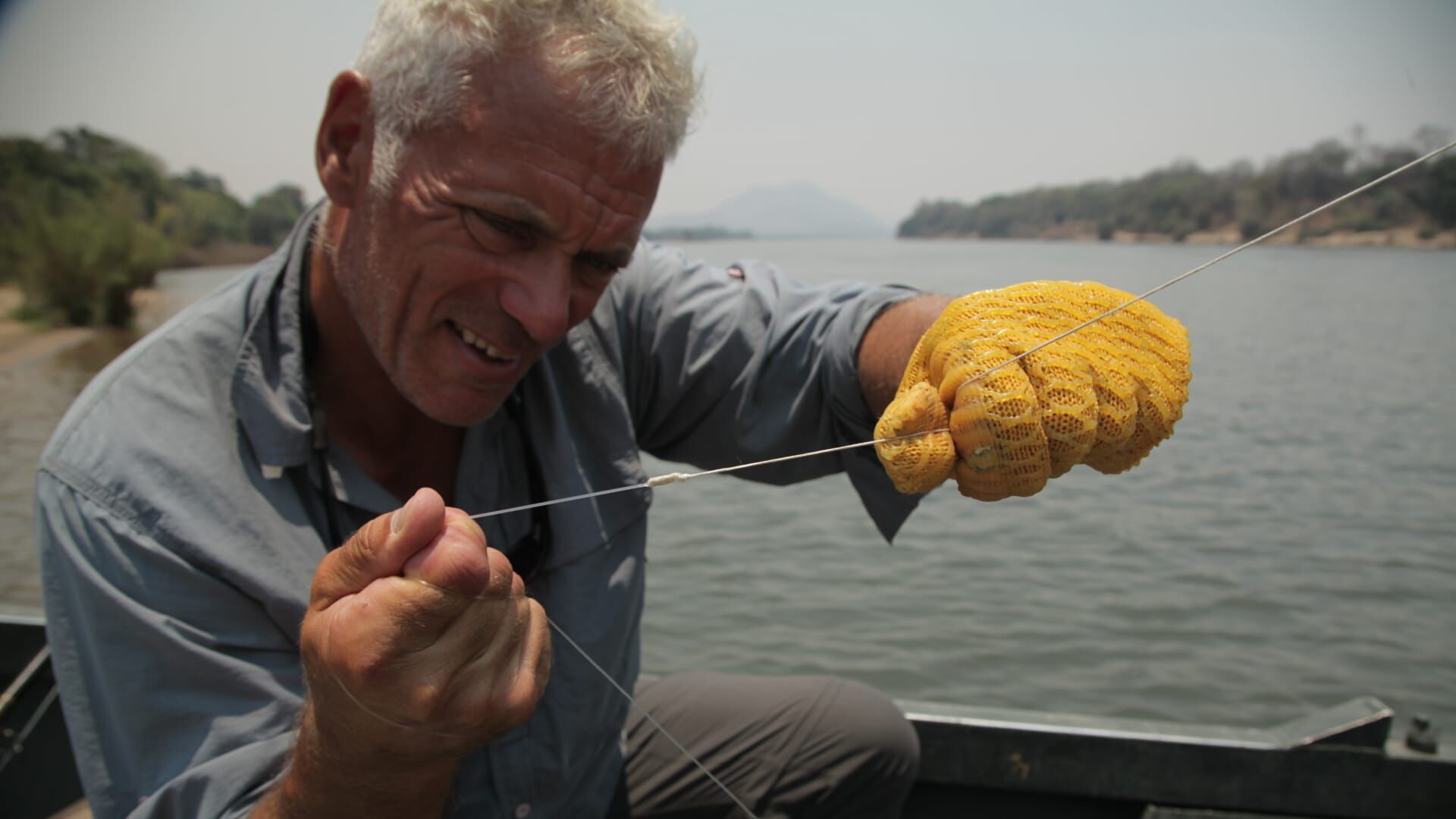 Vignette du programme télé River Monsters