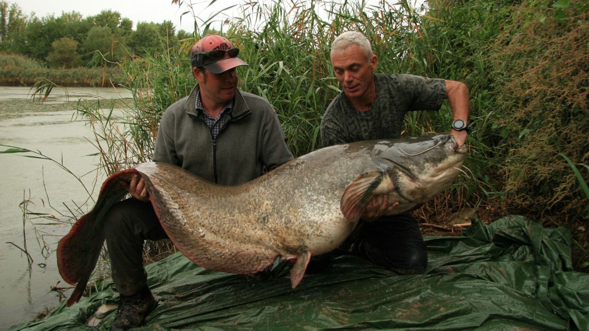 Vignette du programme télé River Monsters