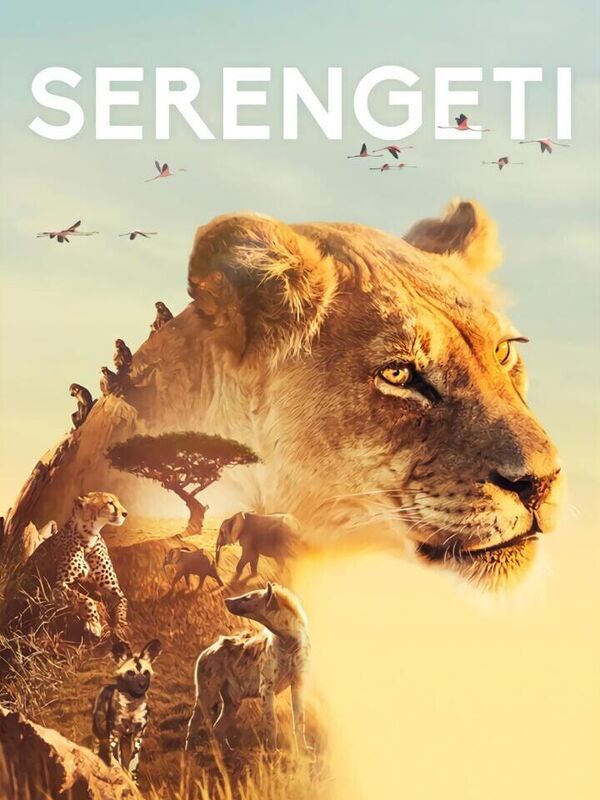 Vignette du programme télé Serengeti, la grande cavalcade des animaux