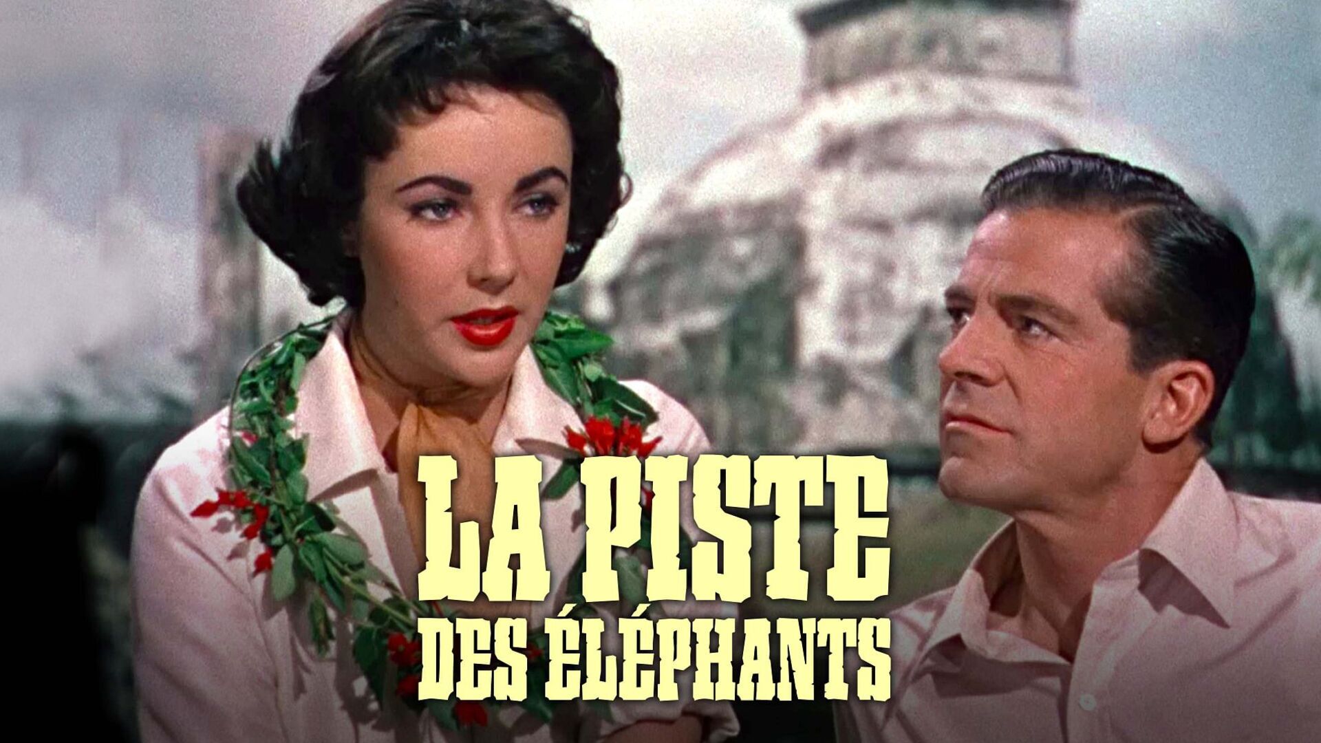 Vignette du programme télé La piste des éléphants