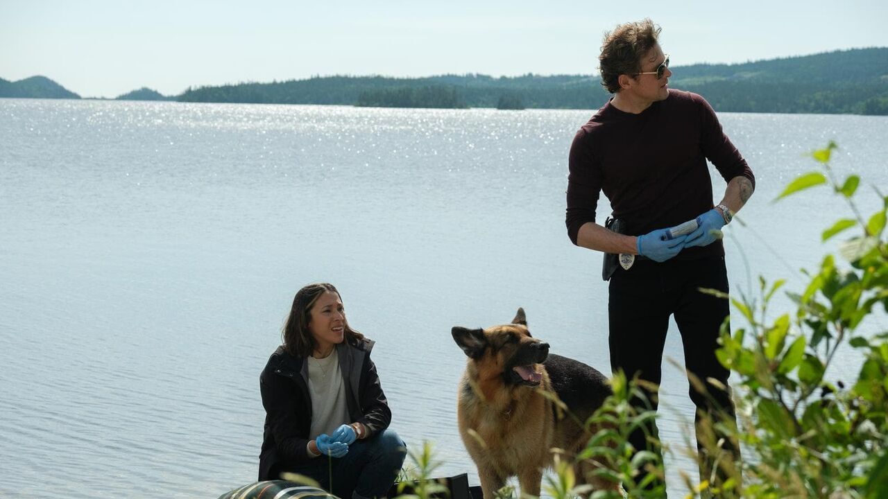 Vignette du programme télé Hudson et Rex