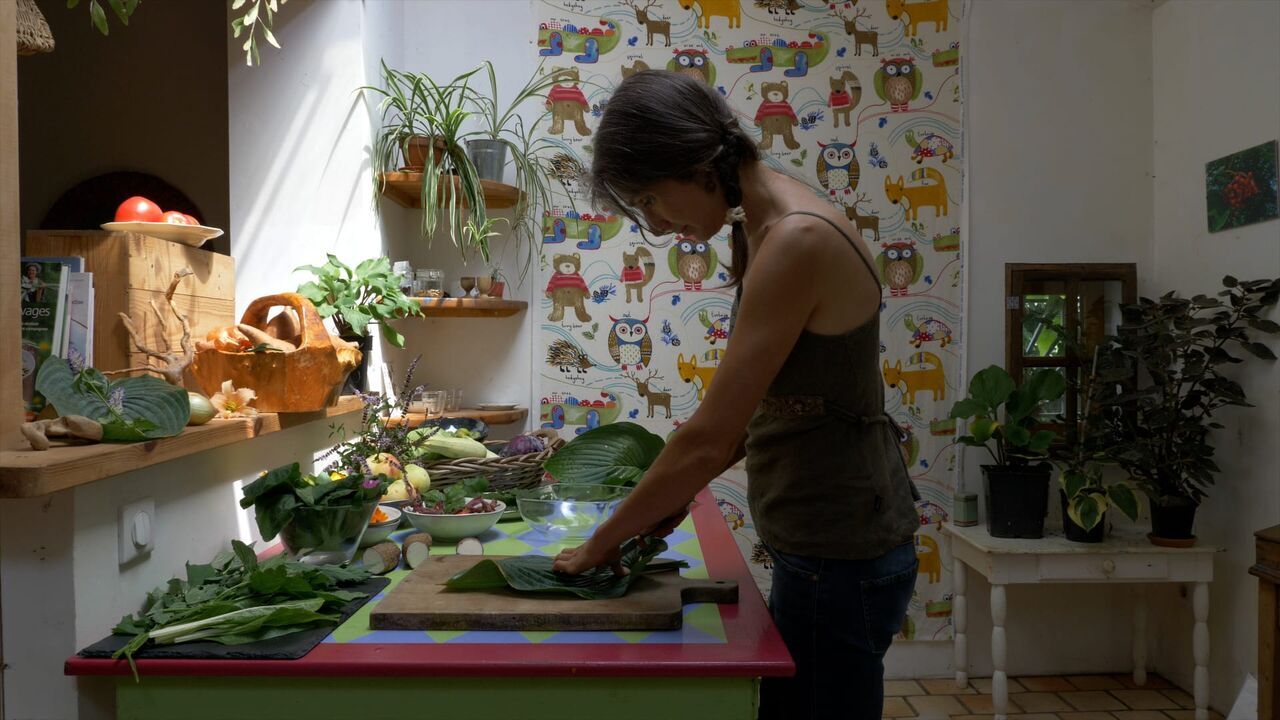 Vignette du programme télé La civilisation des arbres