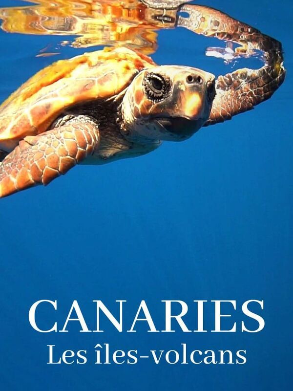 Vignette du programme télé Canaries, les îles-volcans