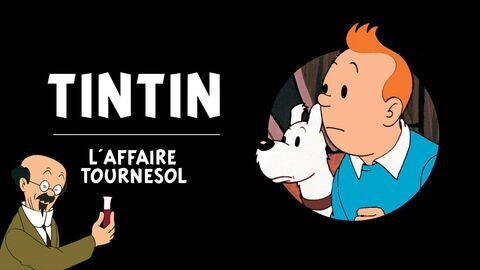 Vignette du programme télé L'affaire Tournesol