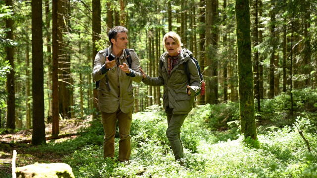 Vignette du programme télé César Wagner