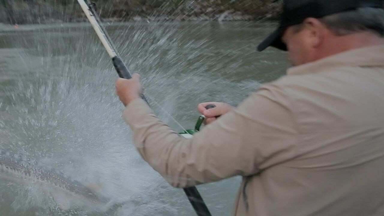 Vignette du programme télé Pêche XXL