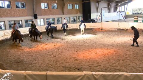 Vignette du programme télé Au galop !