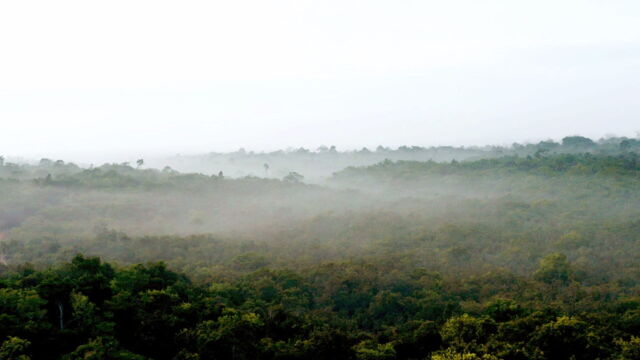 Vignette du programme télé Le mystère des rivières volantes d'Amazonie