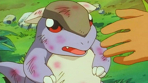 Vignette du programme télé Pokémon (L'enfant sauvage) S1 (33/79)