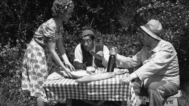 Vignette du programme télé La fille du puisatier