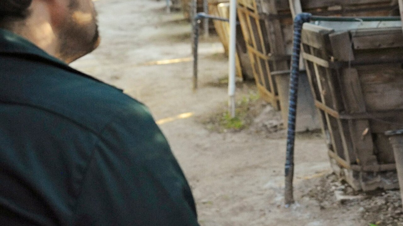 Vignette du programme télé NCIS