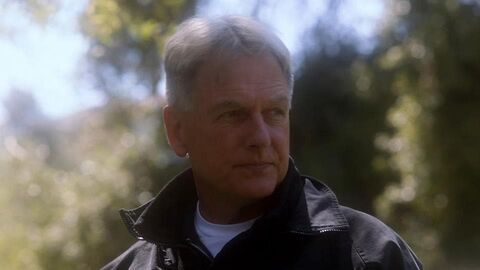 Vignette du programme télé NCIS