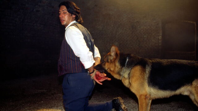 Vignette du programme télé Rex, chien flic