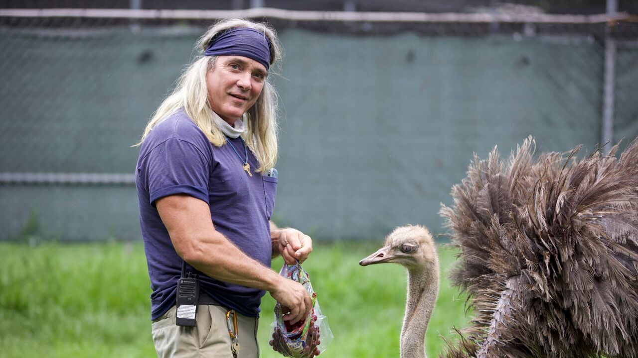 Vignette du programme télé Une saison au zoo