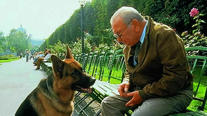 Vignette du programme télé Rex, chien flic (Séduction mortelle) S2 (4/15)