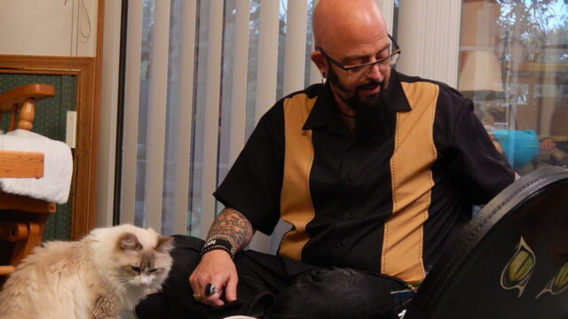 Vignette du programme télé Hell's Cats
