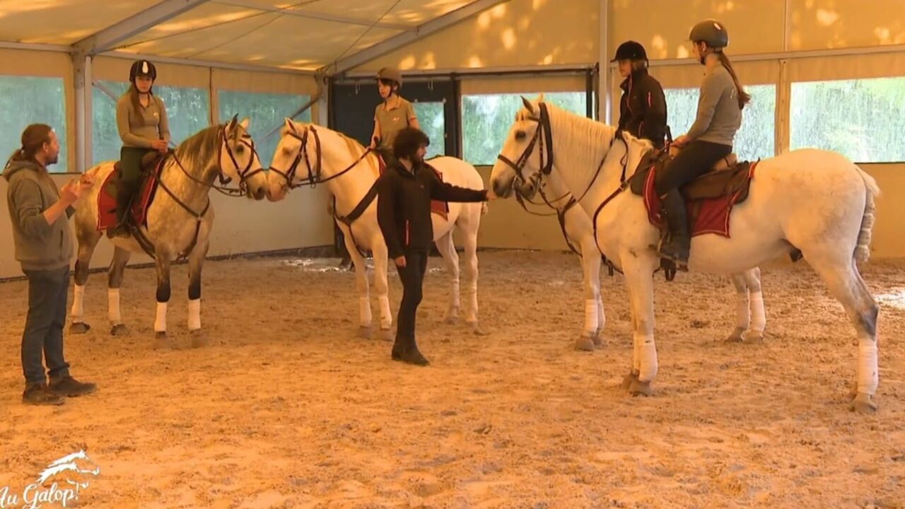 Vignette du programme télé Au galop !
