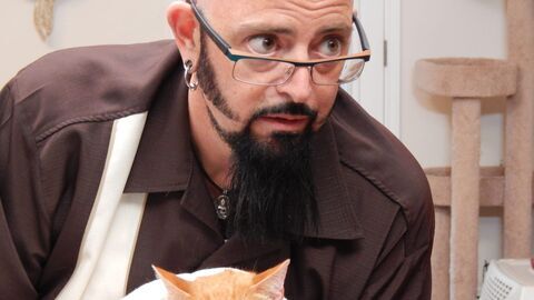 Vignette du programme télé Hell's Cats