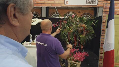 Vignette du programme télé Grands reportages